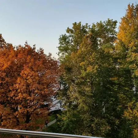 Homesweethome Free Parking Wifi Elevator Balcony Daire Kassel