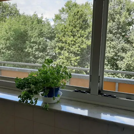 Homesweethome Free Parking Wifi Elevator Balcony Kassel