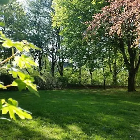 Homesweethome Free Parking Wifi Elevator Balcony * Kassel