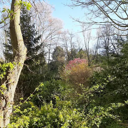 Homesweethome Free Parking Wifi Elevator Balcony * Kassel