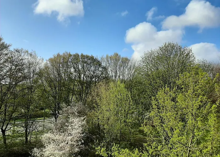 Apartment Homesweethome Free Parking Wifi Elevator Balcony *