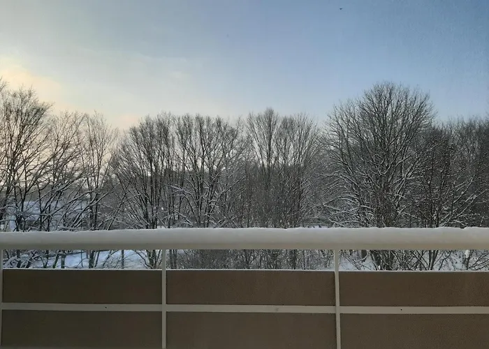 Apartment Homesweethome Free Parking Wifi Elevator Balcony