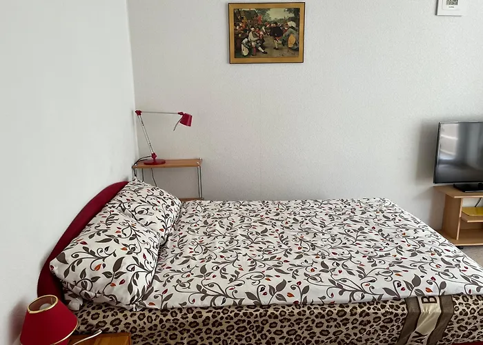 Homesweethome Free Parking Wifi Elevator Balcony Apartment *